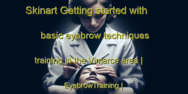 Skinart Getting started with basic eyebrow techniques training in the Vimarce area | EyebrowTraining | EyebrowClasses | SkinartTraining-France